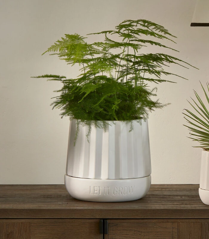 Plantenbak Rond, Bloempot Ribbel - Let It Grow - Wit - Maat L 2 Plantenbak Rond, Bloempot Ribbel - Let It Grow - Wit - Maat L - Afbeelding 2