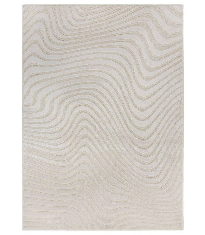 Design Woonkamertapijt SATINA 1 Design Woonkamertapijt SATINA